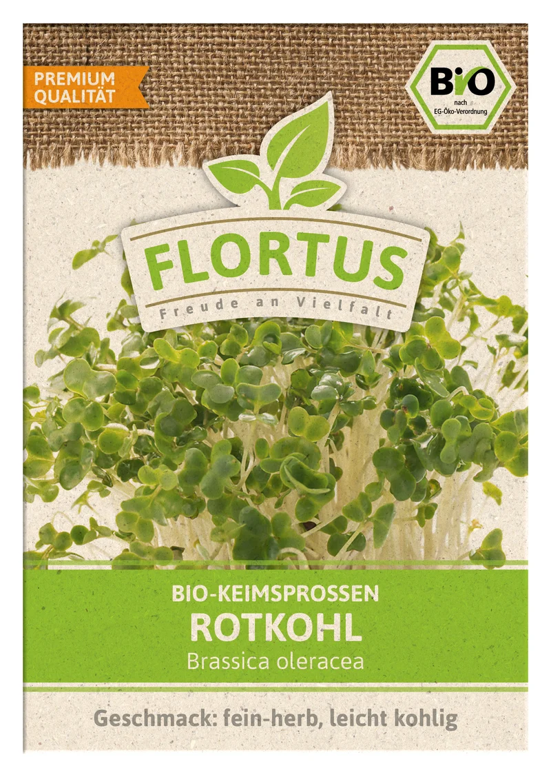 Keimsprossen Rotkohl | BIO Keimsprossen von FLORTUS