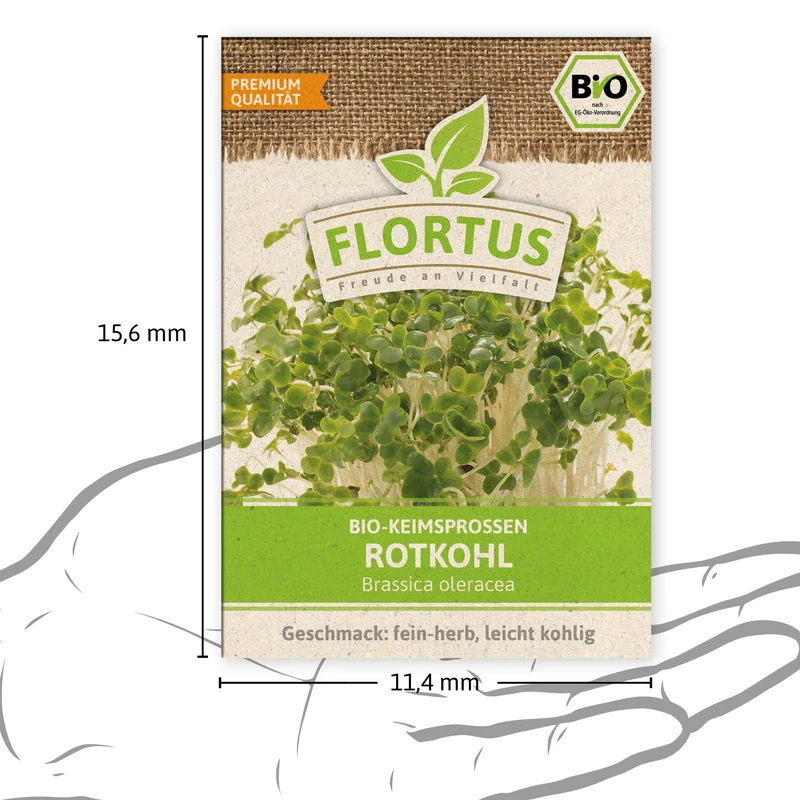 Keimsprossen Rotkohl | BIO Keimsprossen von FLORTUS