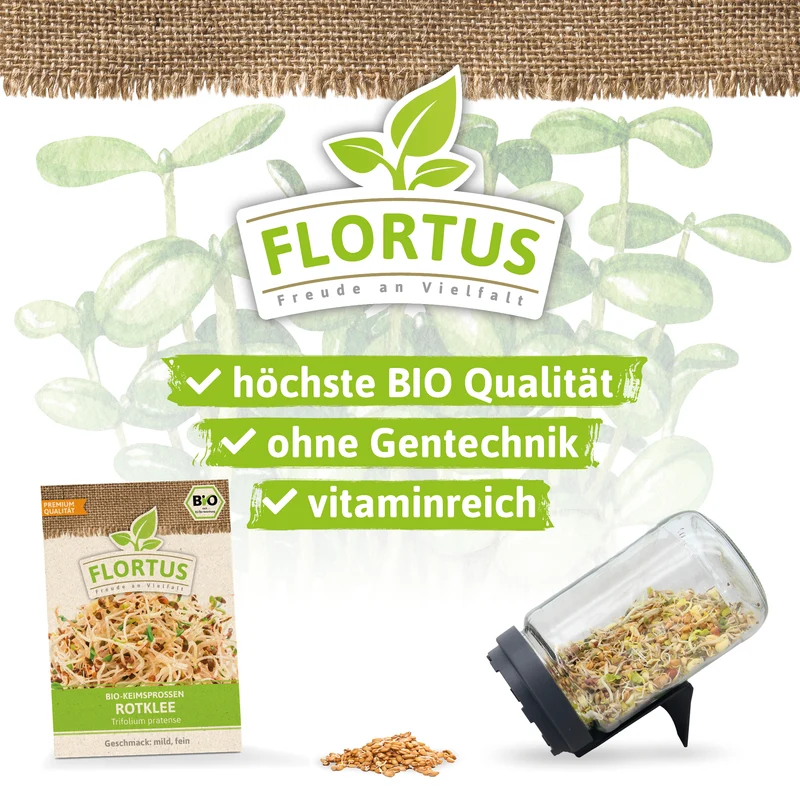 Keimsprossen Rotklee | BIO Keimsprossen von FLORTUS