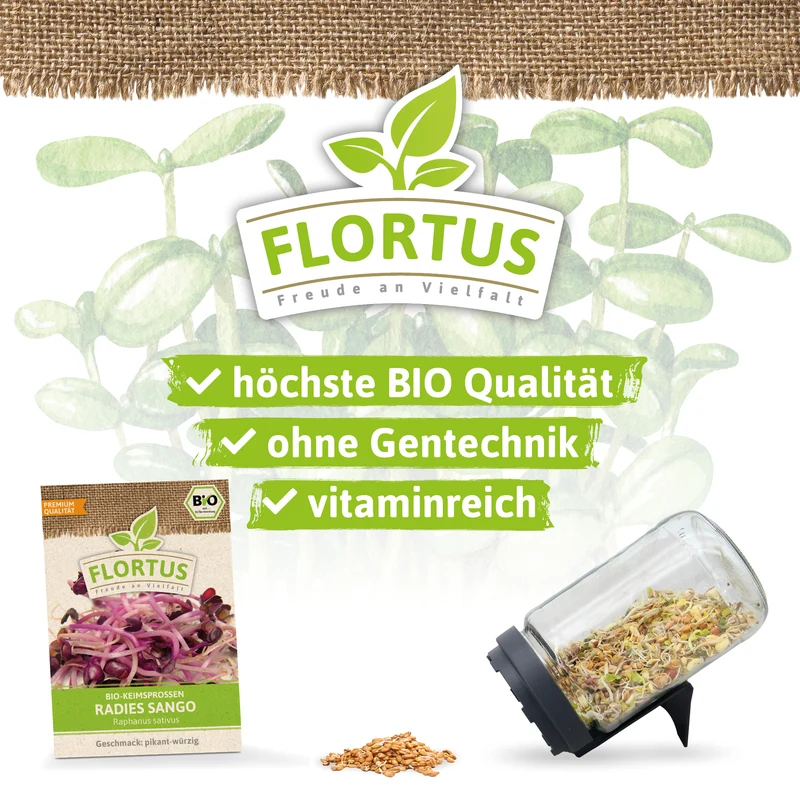 Keimsprossen Radies Sango | BIO Keimsprossen von FLORTUS