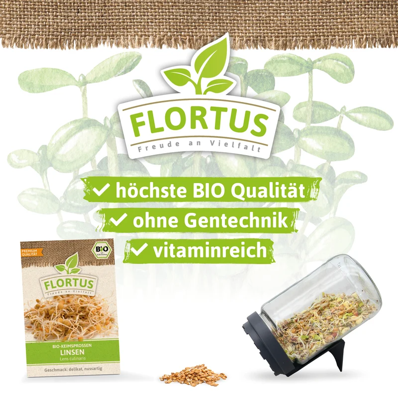 Keimsprossen Linse | BIO Keimsprossen von FLORTUS