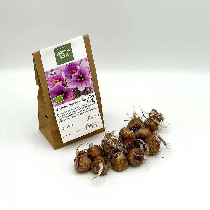 Safran-Krokus – Crocus Sativus (Saffron) (A8001) "Bio"