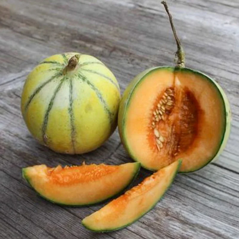 Melone - Selene