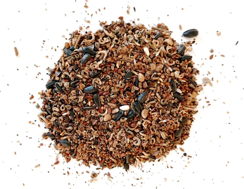 Veitshöchheimer Bienenweide - mehrjährig