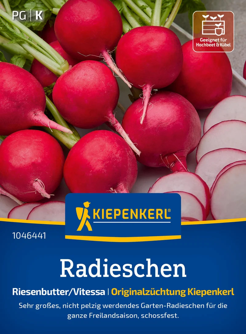 Radieschensamen Riesenbutter Vitessa Saatgut
