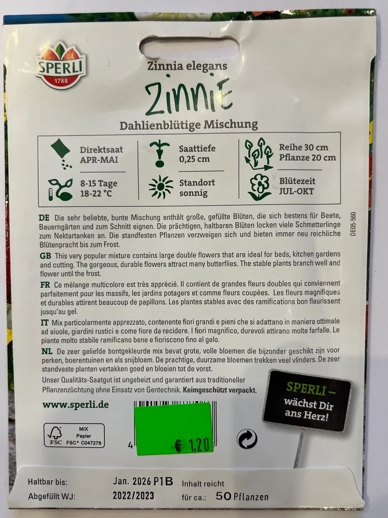 Zinnie Dahlienblütige Mischung