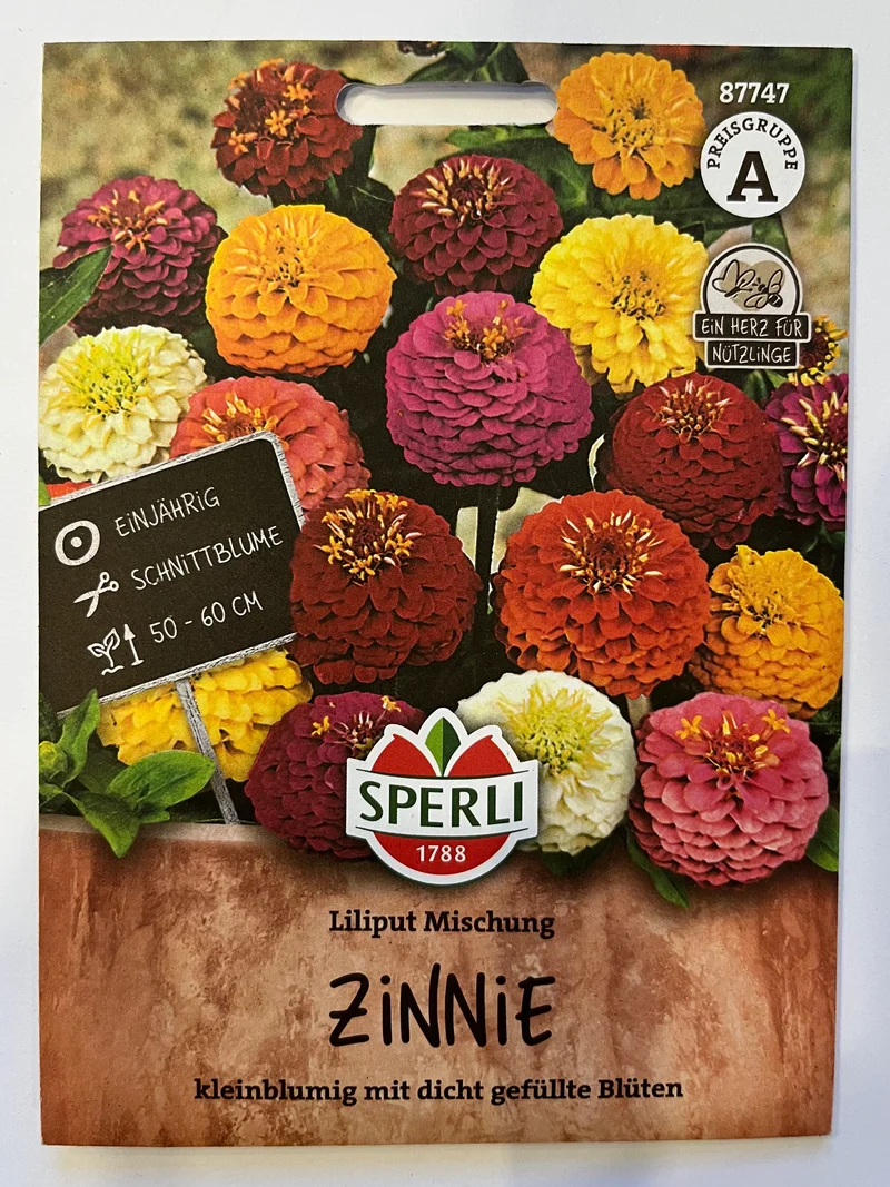 Zinnie Liliputaner Mischung
