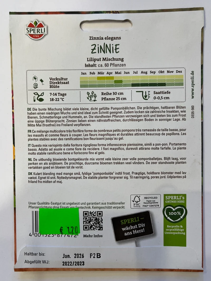 Zinnie Liliputaner Mischung