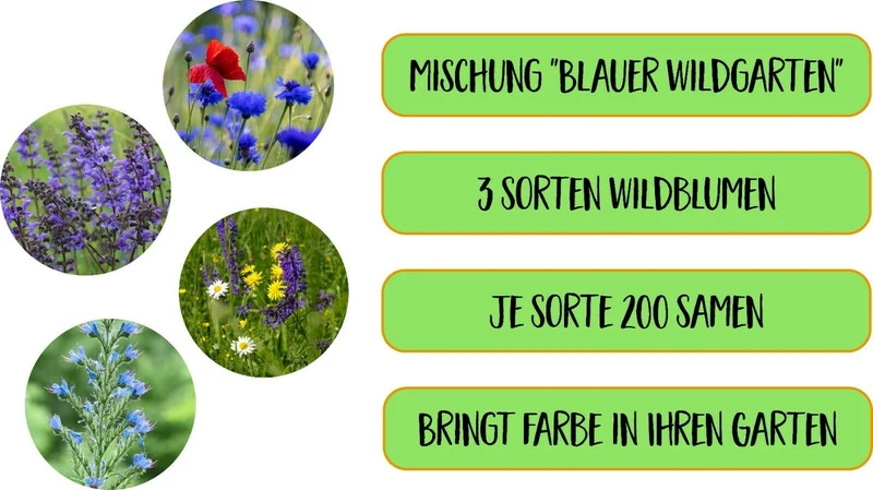 Blumensamenmischung "Blauer Wildgarten" - 3 Sorten Wildblumen