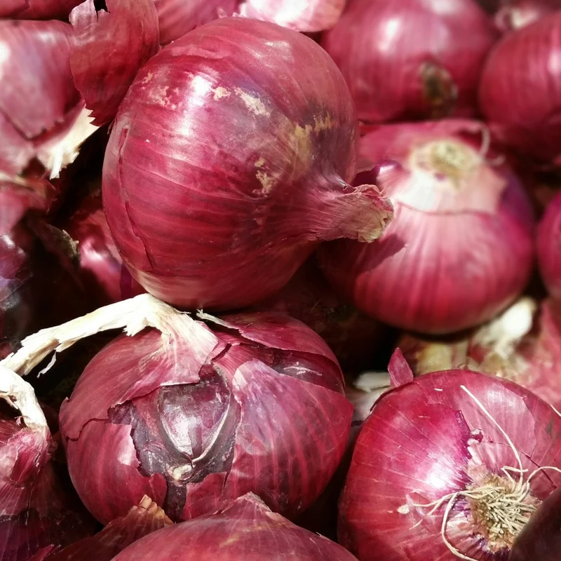 Zwiebel Braunschweiger Same MHD 06/27