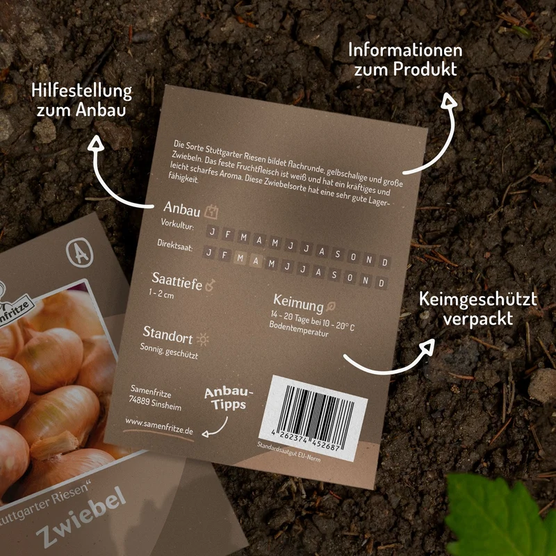 Zwiebel Stuttgarter Riesen Samen
