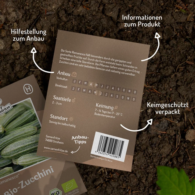 Bio-Zucchini Romanesco Samen