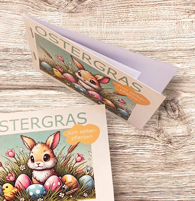 Ostergras zum Selberpflanzen