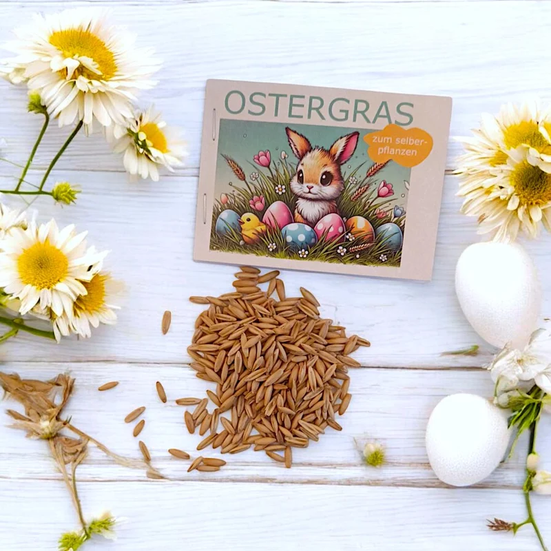 Ostergras zum Selberpflanzen