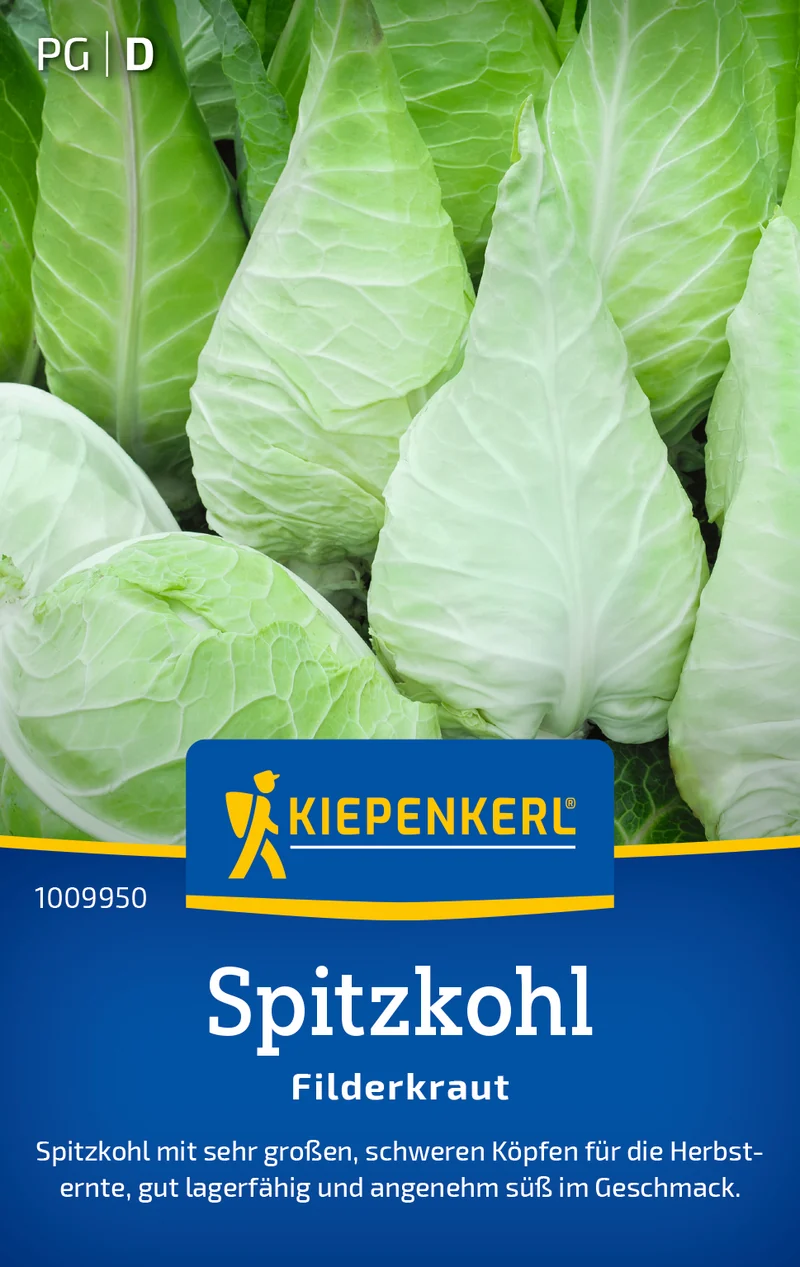 Weißkohlsamen Filderkraut Saatgut