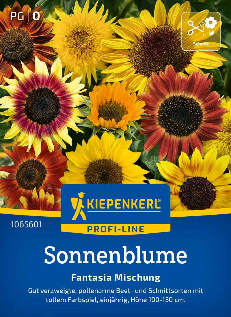 Sonnenblumensamen Fantasia Mischung F1 Saatgut