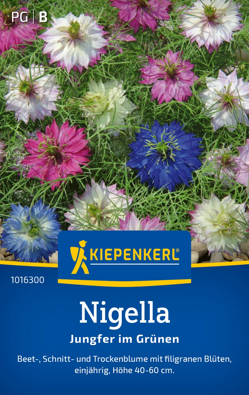 Nigellasamen Jungfer im Grünen Saatgut