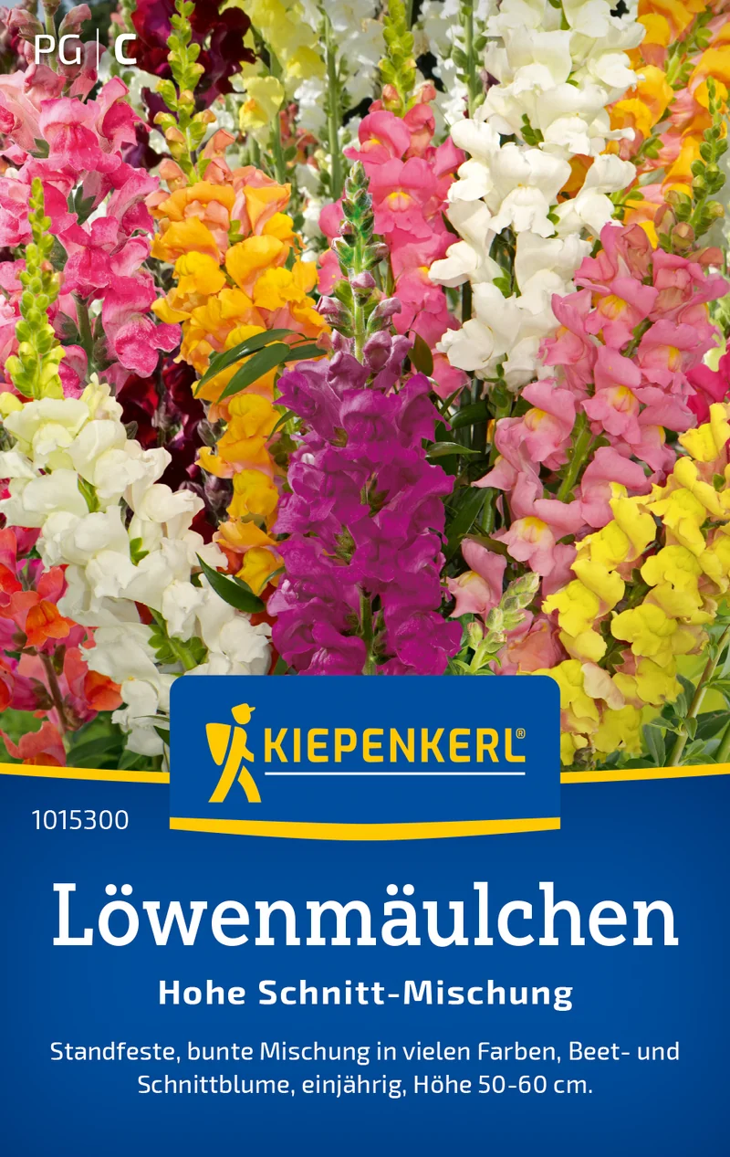 Löwenmäulchensamen Hohe Schnitt Mischung Saatgut