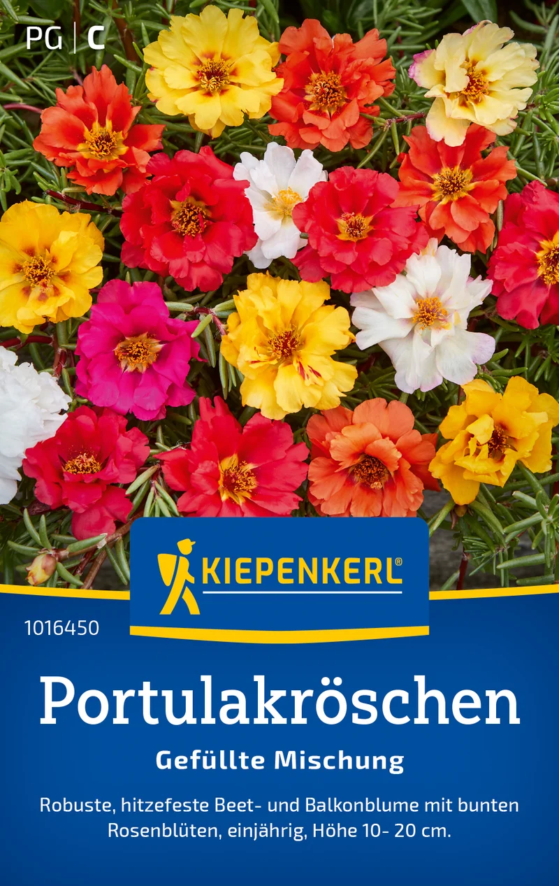 Portulakröschensamen Gefüllte Mischung Saatgut