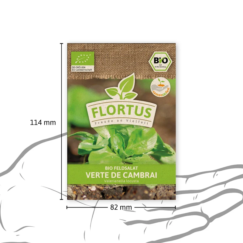 Feldsalat Verte de Cambrai | BIO Salatsamen von FLORTUS
