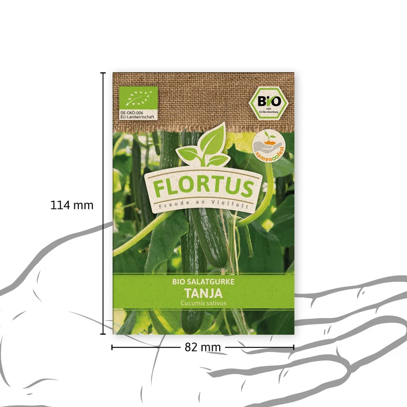 Salatgurke Tanja | BIO Gurkensamen von FLORTUS