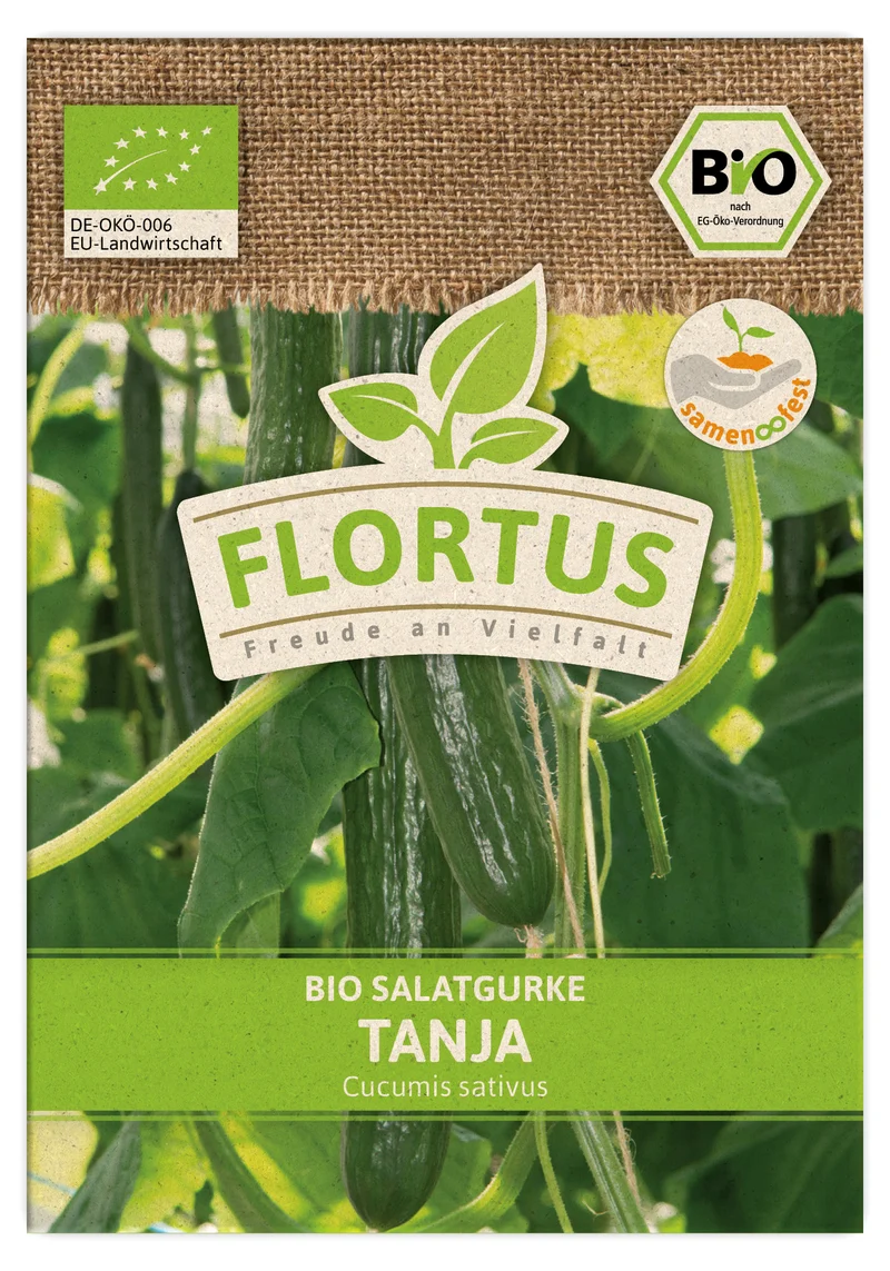 Salatgurke Tanja | BIO Gurkensamen von FLORTUS