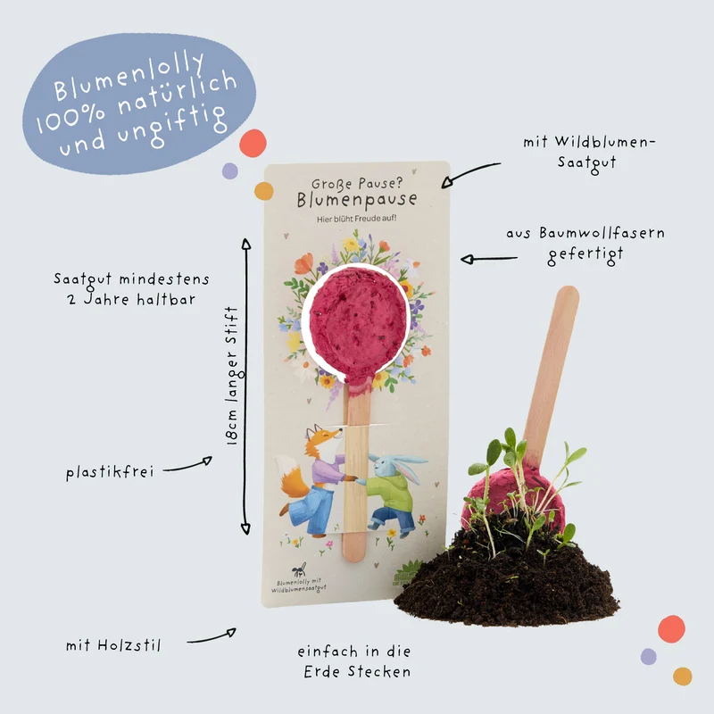 Große Pause - Blumenlolly
