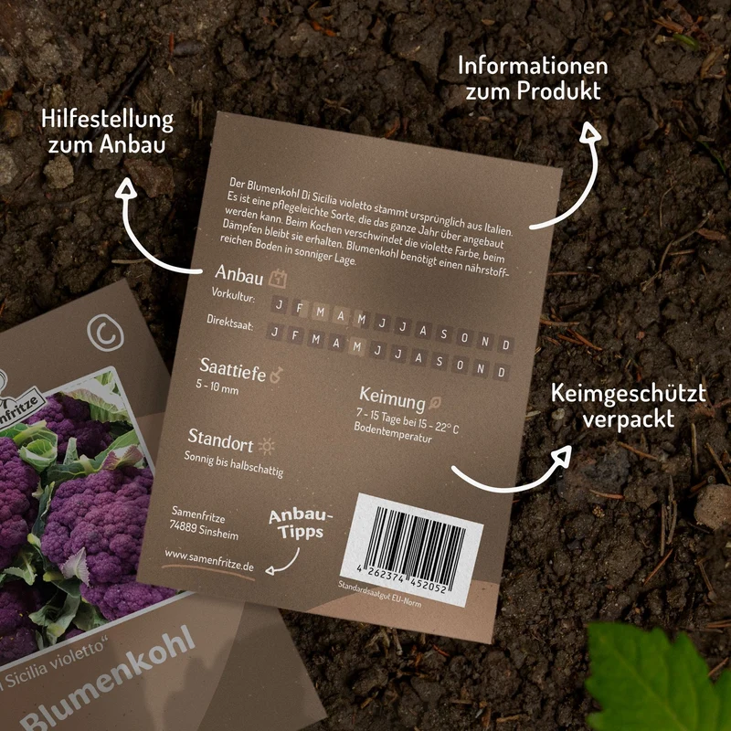 Blumenkohl Di Sicilia violetto Samen