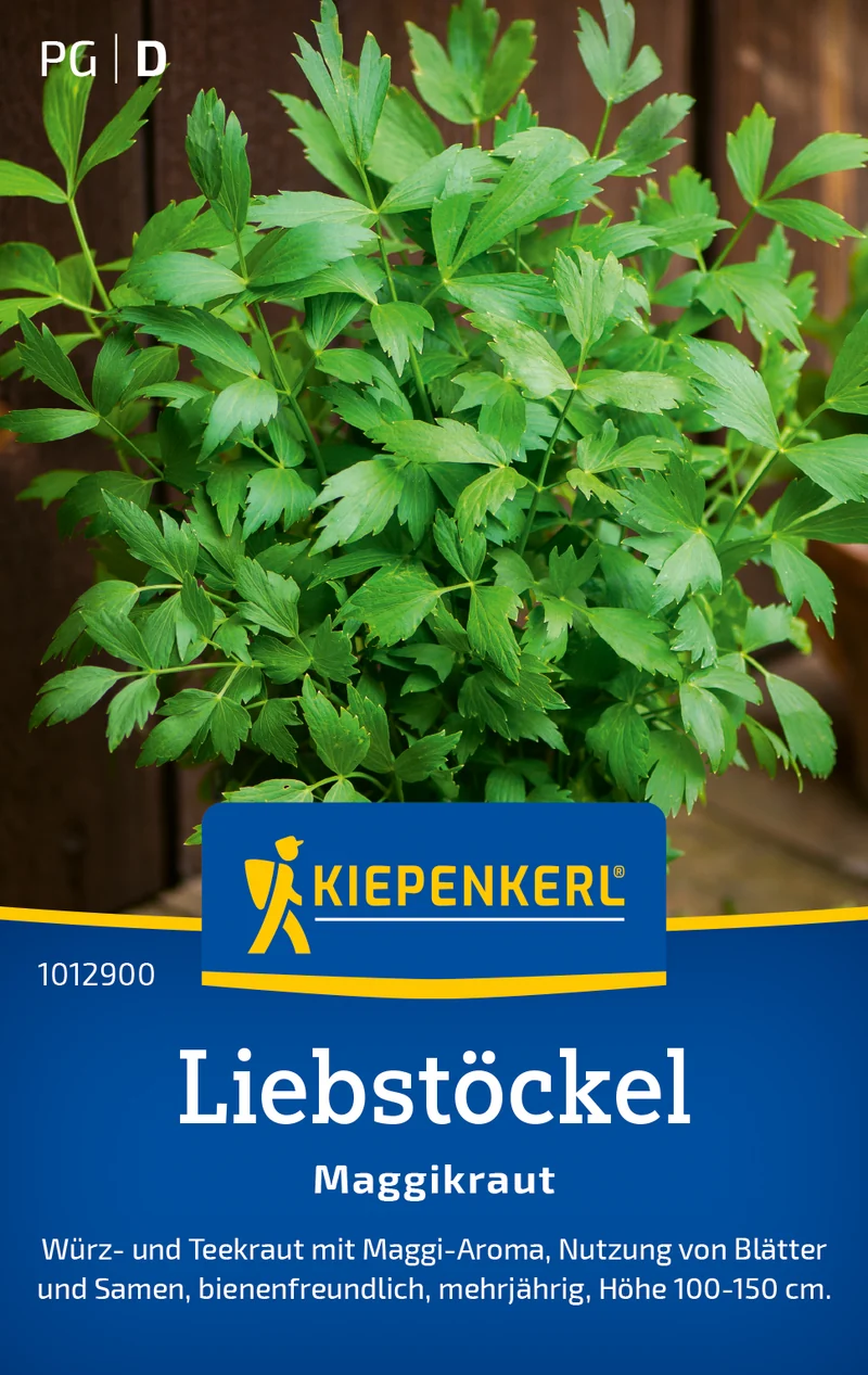 Liebstöckel Maggikraut Saatgut