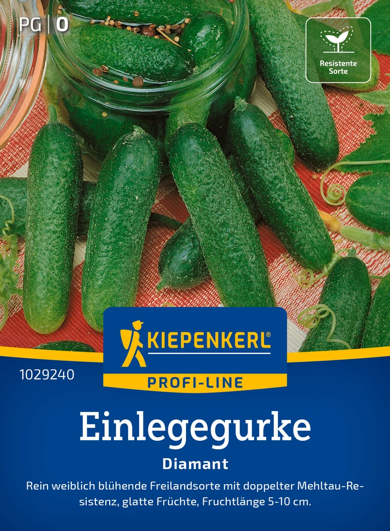 Einlegegurke Diamant F1 Saatgut