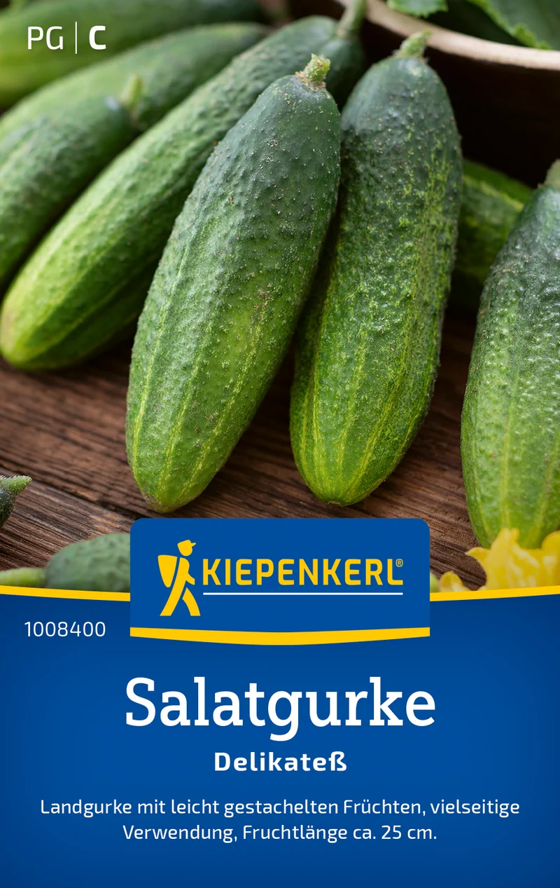 Salatgurke Delikateß Saatgut