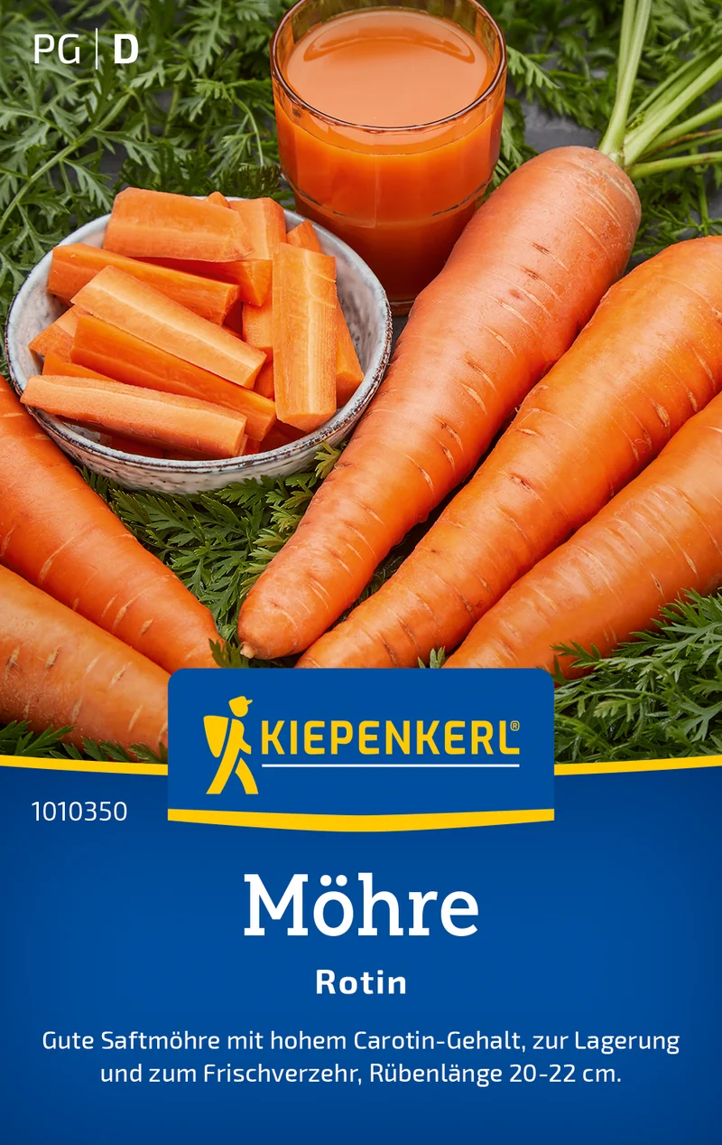 Möhre Rotin Saatgut