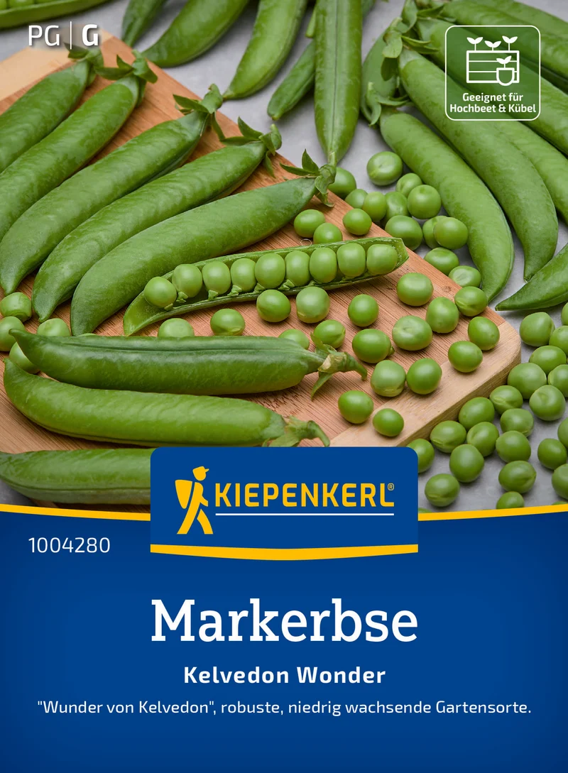 Markerbse Kelvedon Wonder Saatgut