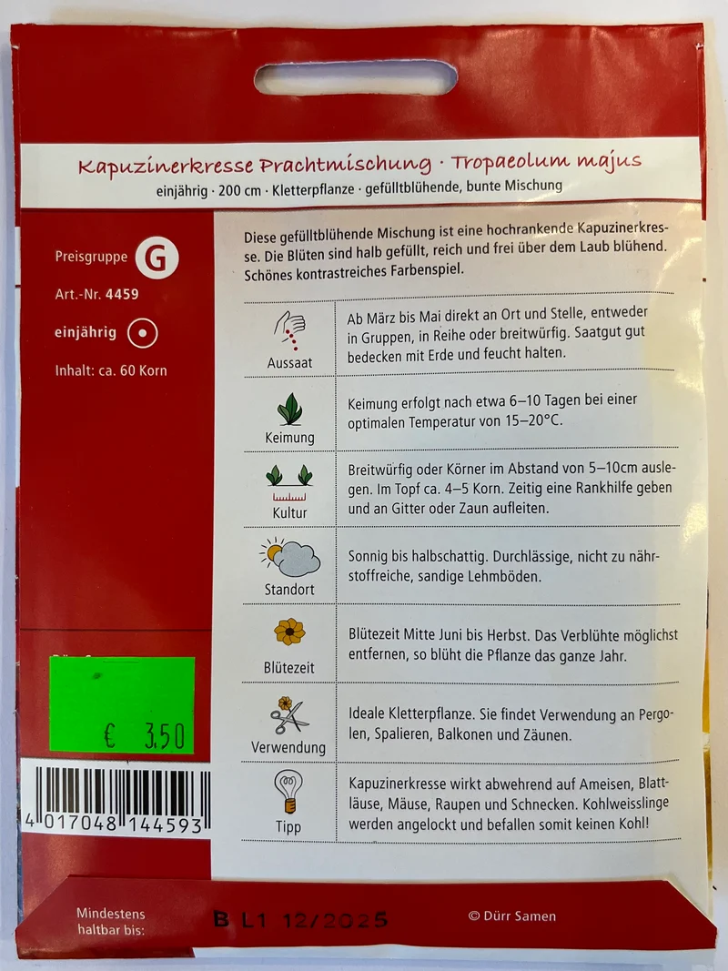 Kapuzinerkresse gefülltblühend