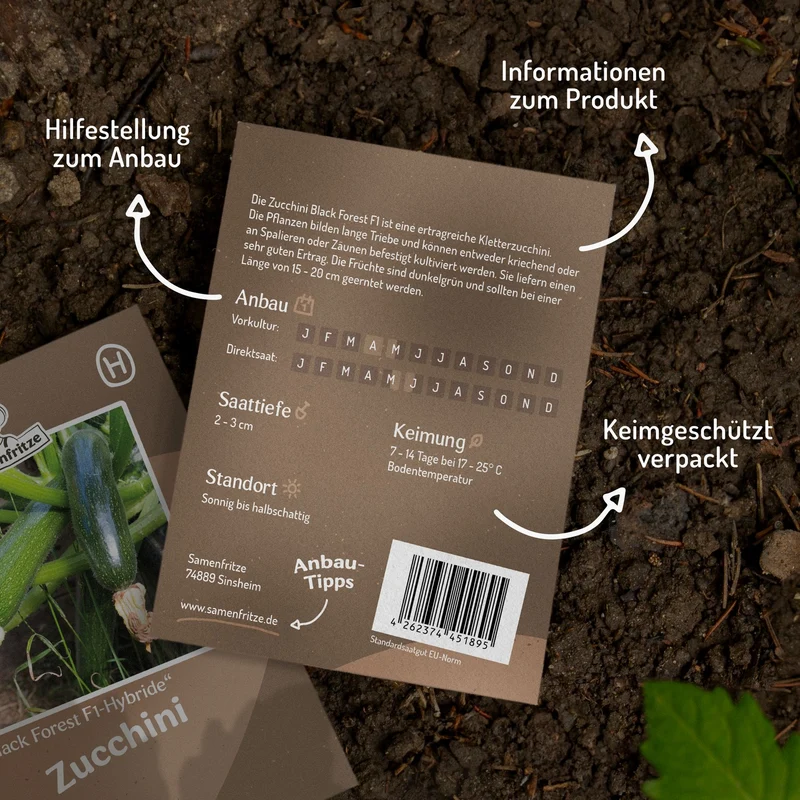 Zucchini Black Forest F1 Samen