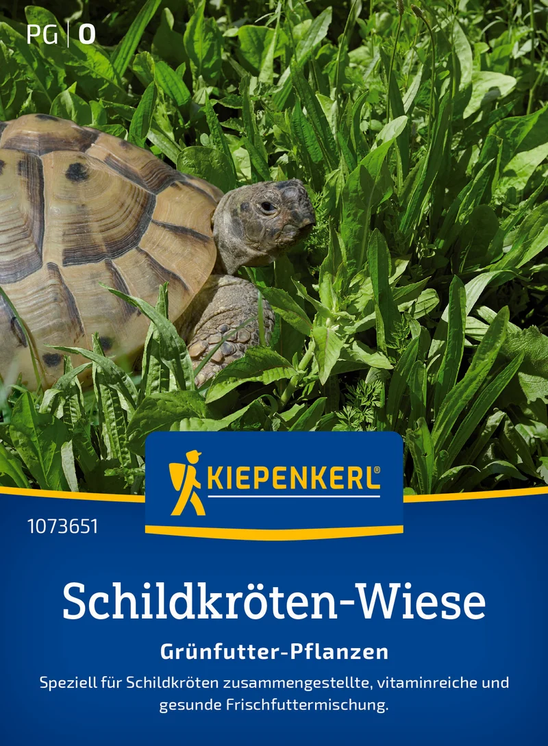 Schildkrötenmischung Grünfutter Pflanzen Saatgut