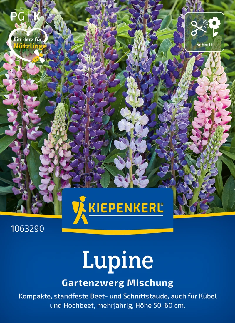 Lupine Gartenzwerg Mischung Saatgut
