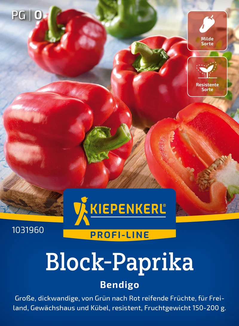 Blockpaprika Bendigo F1 Saatgut