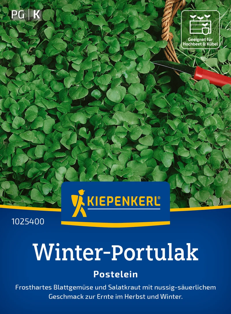 Portulak Winterportulak Saatgut