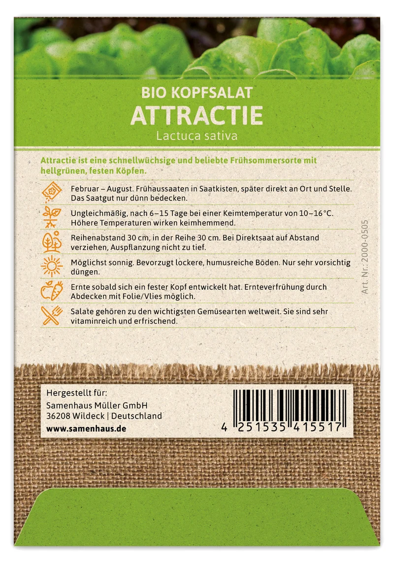Kopfsalat Attractie | BIO Salatsamen von FLORTUS
