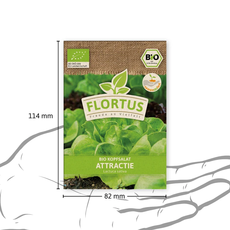 Kopfsalat Attractie | BIO Salatsamen von FLORTUS