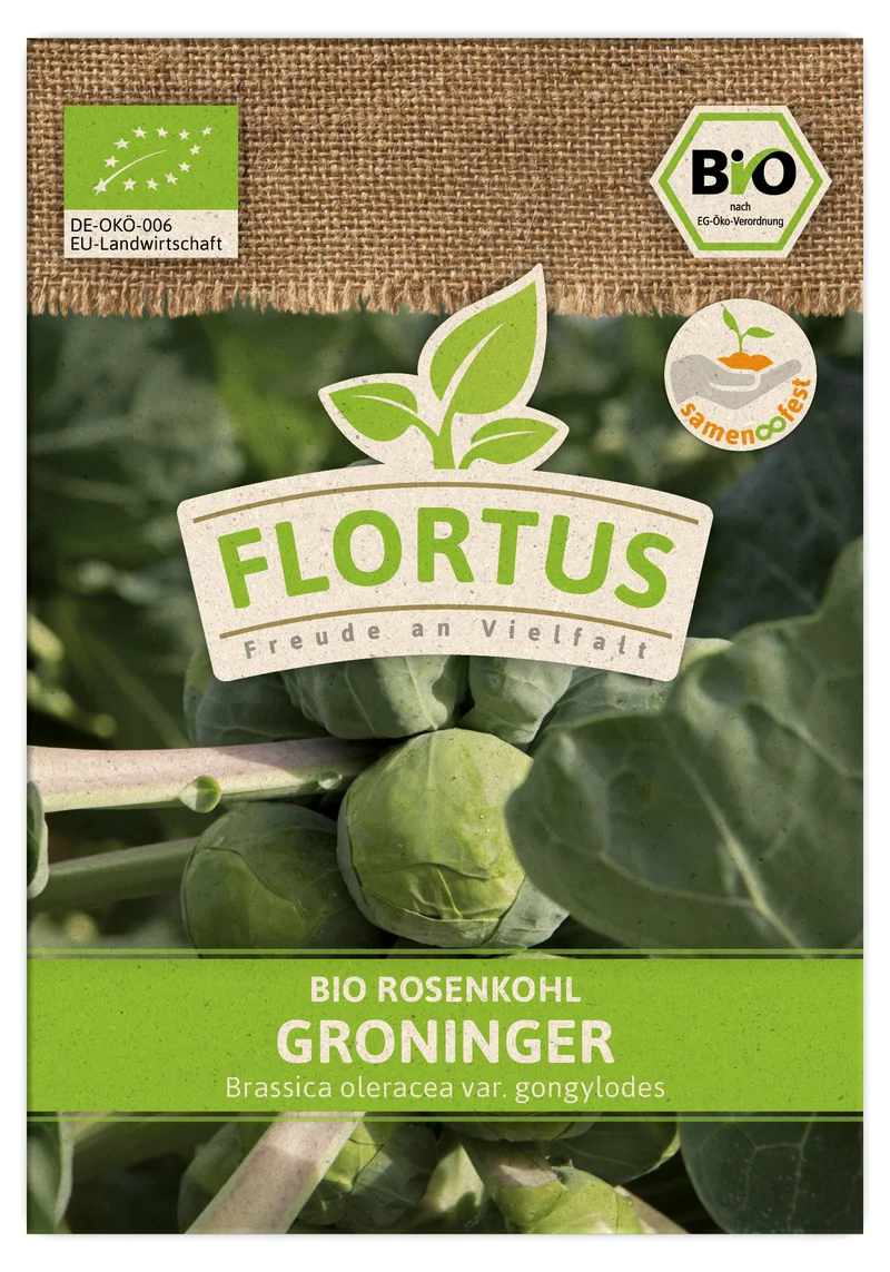 Rosenkohl Groninger | BIO Kohlsamen von FLORTUS