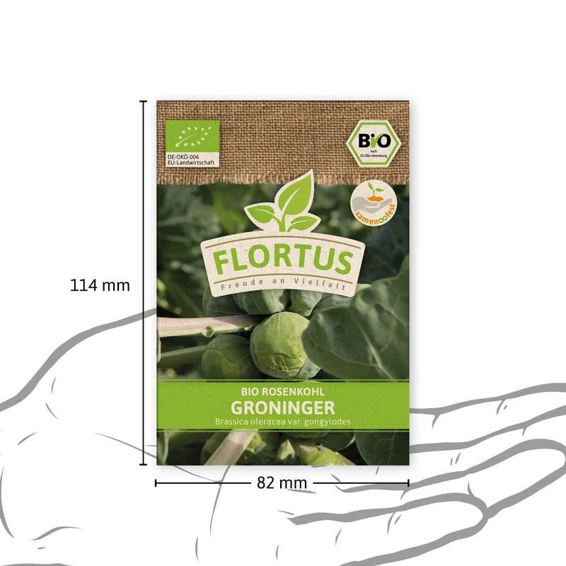 Rosenkohl Groninger | BIO Kohlsamen von FLORTUS