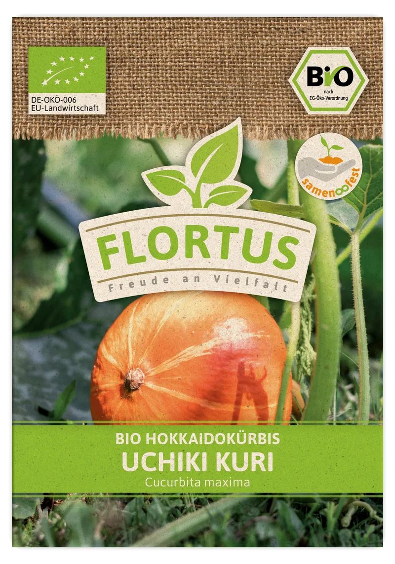 Hokkaidokürbis Uchiki Kuri | BIO Kürbissamen von FLORTUS