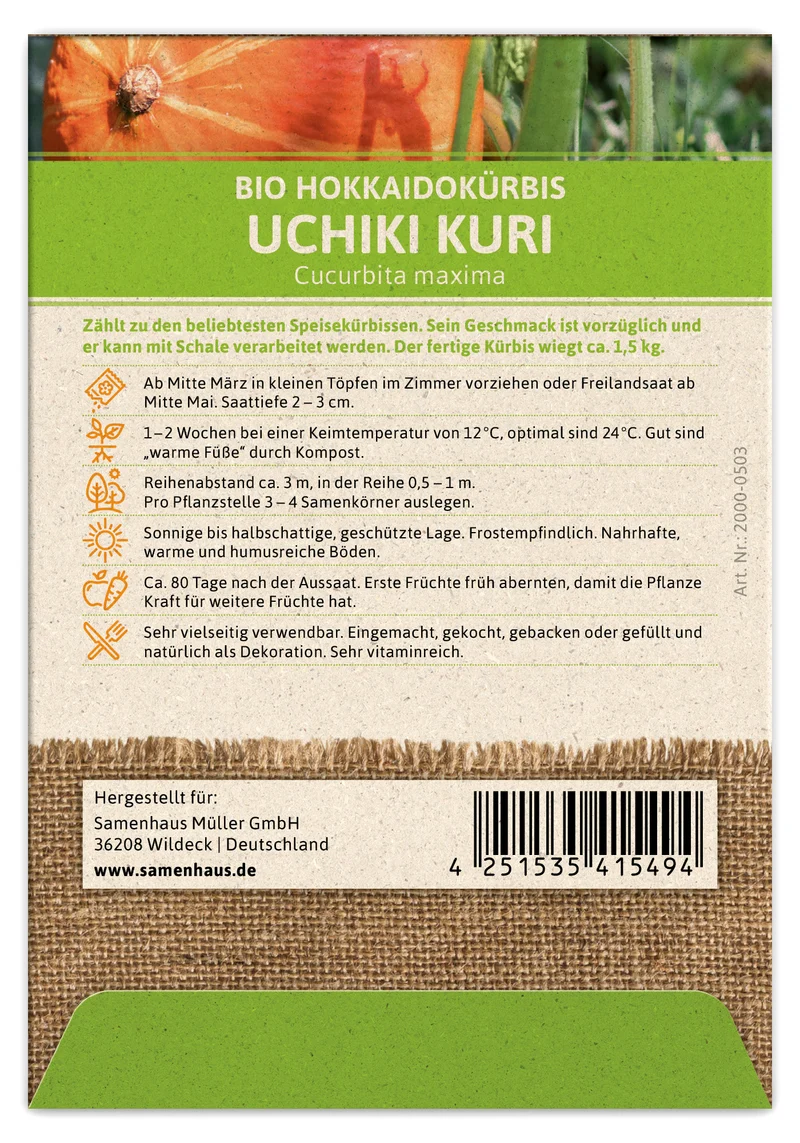 Hokkaidokürbis Uchiki Kuri | BIO Kürbissamen von FLORTUS