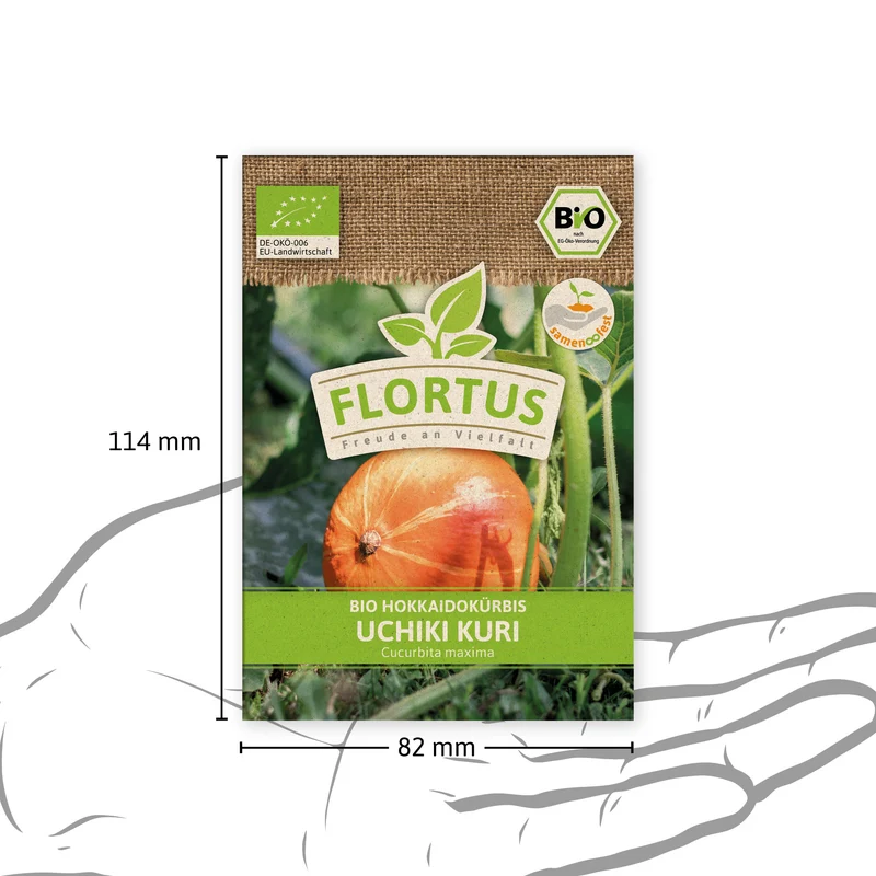 Hokkaidokürbis Uchiki Kuri | BIO Kürbissamen von FLORTUS