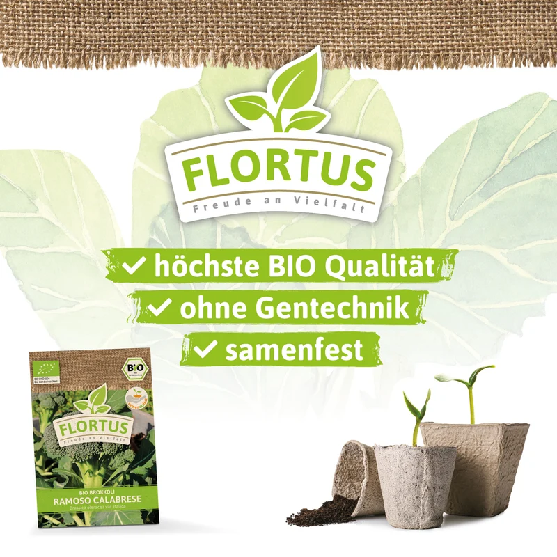 Brokkoli Ramoso Calabrese | BIO Kohlsamen von FLORTUS