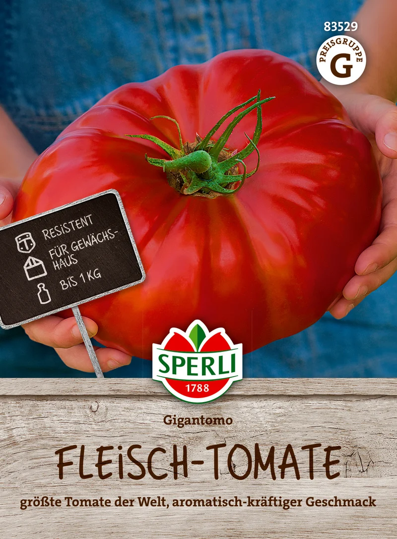 Fleisch Tomate Gigantomo F1 Saatgut