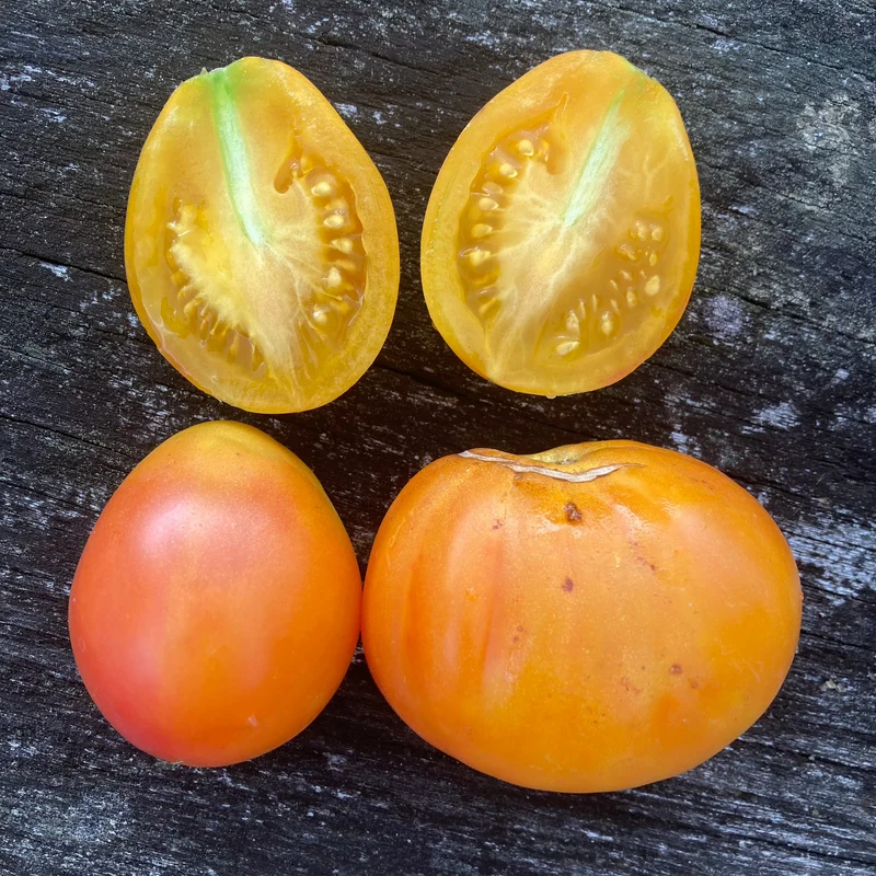 Salattomate "Piedmont Pear"