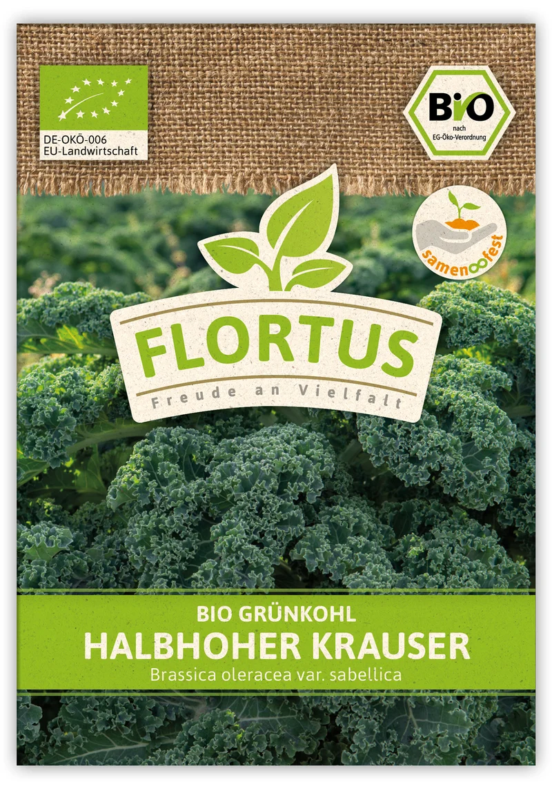 Grünkohl Halbhoher Krauser (100 Stück) | BIO Kohlsamen von FLORTUS